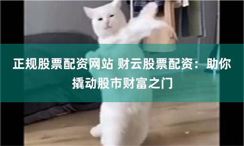 正规股票配资网站 财云股票配资：助你撬动股市财富之门