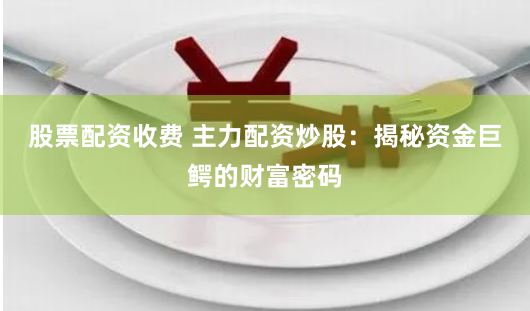 股票配资收费 主力配资炒股：揭秘资金巨鳄的财富密码